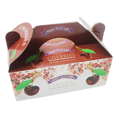 Cajas de embalaje de alimentos Gable impresas personalizadas