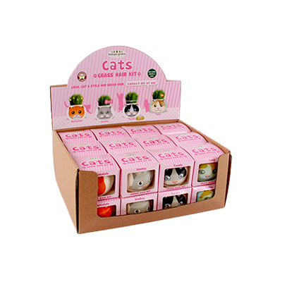 Cajas de presentación de cartón personalizadas